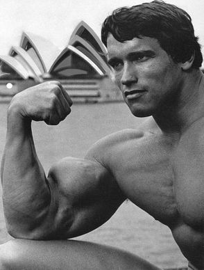 Arnold Schwarzenegger photos