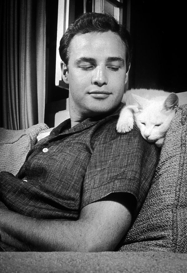 Marlon Brando - Birthday, Birthplace, Nationality, Sign, Photos And